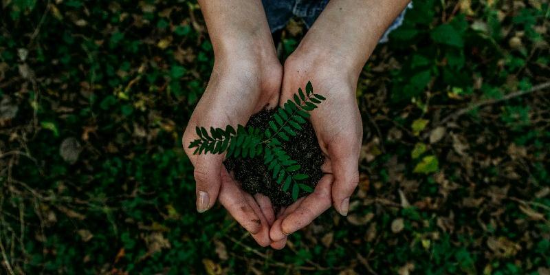 Les Défis du Développement Durable dans le BTS Environnement Nucléaire